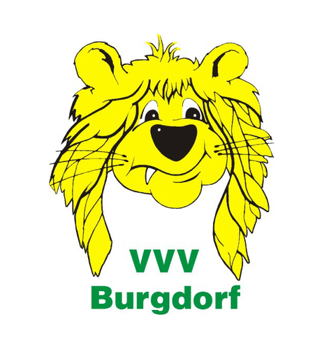 vvv burgdorf